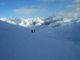 081124_A_siamo in 67.JPG